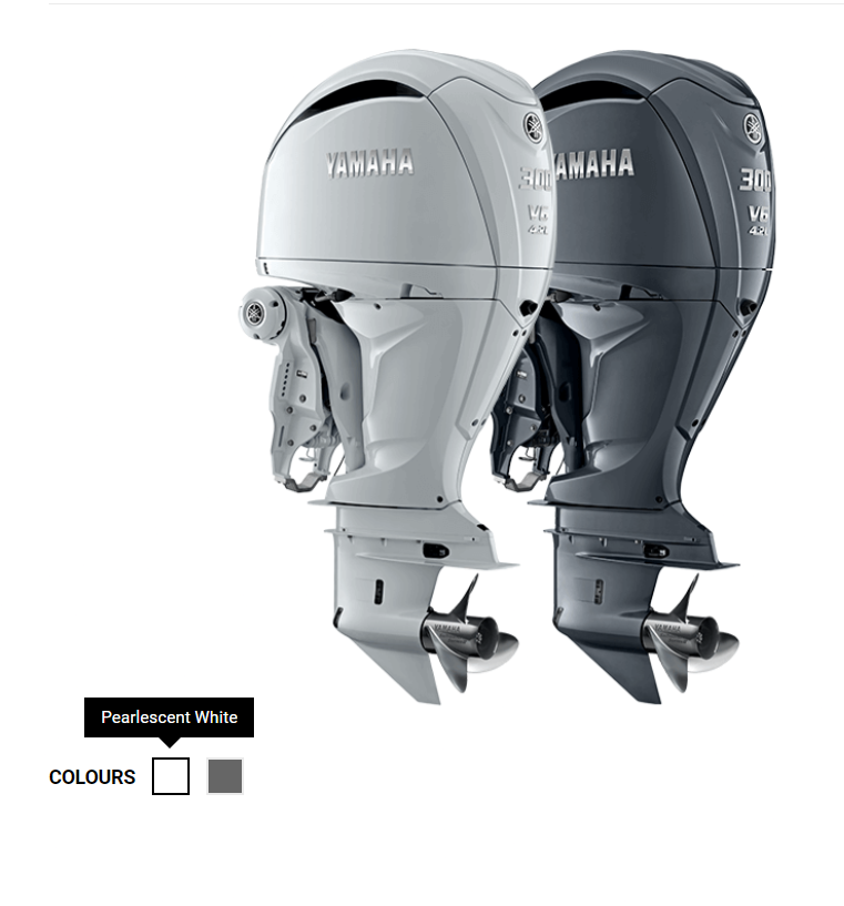 Screenshot 2024-07-01 122233 F300S WHITE